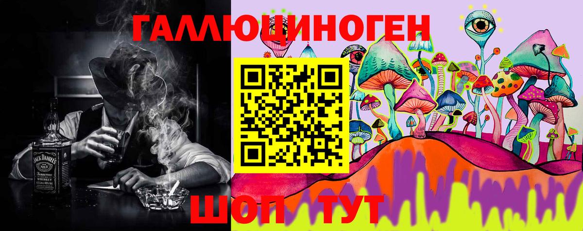 Галлюциногенные грибы MAGIC MUSHROOMS  Вход с VPN  Павловский Посад 